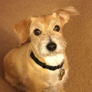 Meet your Posher, Cathy